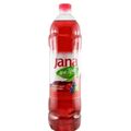 Jana Ice Tee 1.5 l - image 1 | Damas Markt