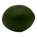 Avocado - Small - image 1 | Afro Center & Afro Cut Krefeld
