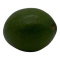 Avocado - Small - image 2 | Afro Center & Afro Cut Krefeld