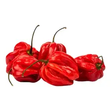 Fresh Pepper (Habanero Rot) - image 3 | Damas Markt | KulturCart