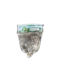 Bitekuteku - image 1 | Omowest Afro Intercontinental Shop | KulturCart