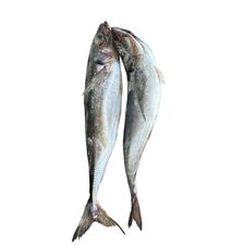 Horse Mackerel fish (3pcs) - image 1 | Omowest Afro Intercontinental Shop | KulturCart