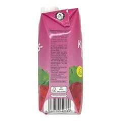 Wizzi Drinks Kaktus-Feige Ice tea getränk 0.5L - image 2 | Damas Markt | KulturCart