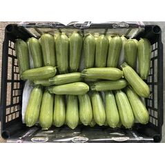 كوسا - image 1 | Damas Markt | KulturCart