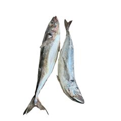 Horse Mackerel fish (2pcs) - image 2 | Omowest Afro Intercontinental Shop | KulturCart