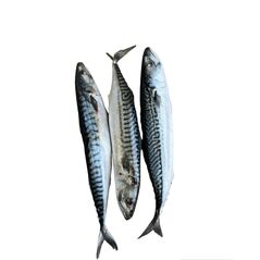 Half carton fish - image 1 | Omowest Afro Intercontinental Shop | KulturCart