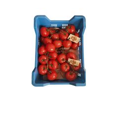 Tomaten 5 kg بندورة - image 1 | Damas Markt