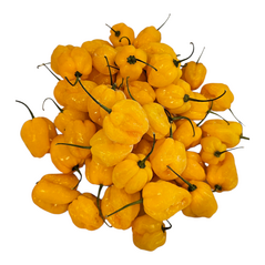 Fresh Pepper (Yellow) - image 4 | Malaika afro international Markt | KulturCart