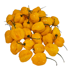 Fresh Pepper (Yellow) - image 8 | Malaika afro international Markt | KulturCart
