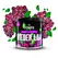 Cataleya by Samra Shisha Tabak 200g - #07 WIEDER LILA - image 1 | Damas Markt | KulturCart
