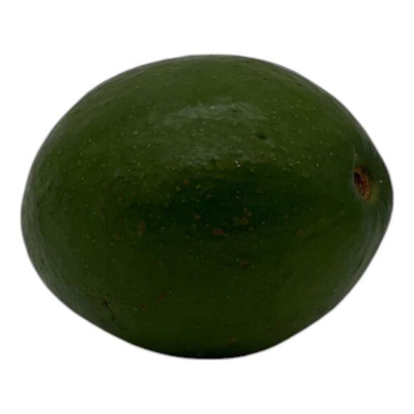 Avocado - Small - image 2 | Afro Center & Afro Cut Krefeld