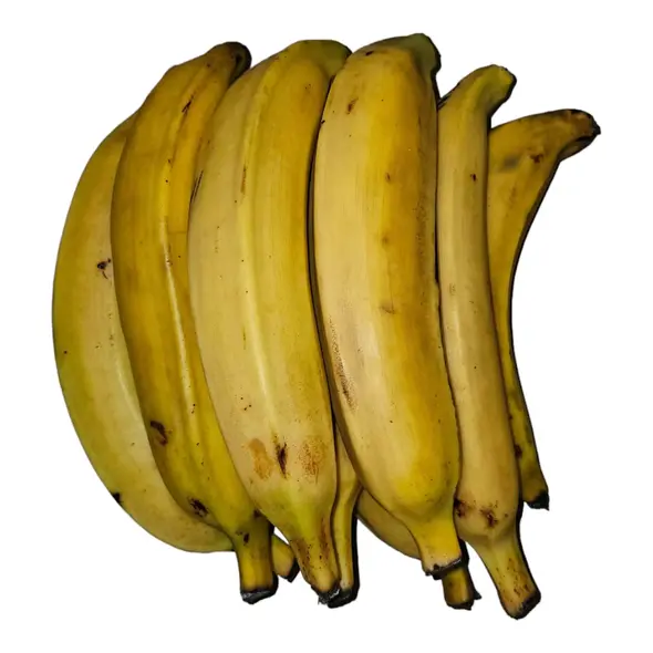 Fresh Plantain - image 2 | Momjays Afro Markt