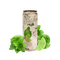 Fresh mojito (330ml) - image 1 | Damas Markt | KulturCart