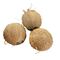 FRESH COCONUT - image 1 | Omowest Afro Intercontinental Shop